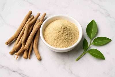 5 Herbal Alternatives to Coffee That Support Mental Energy