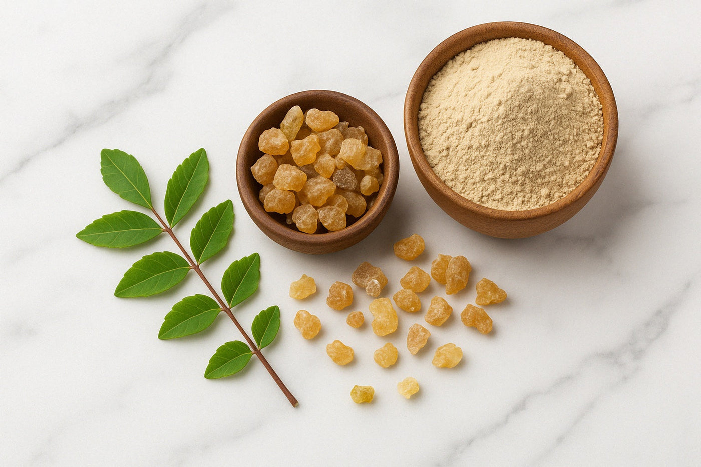 boswellia powder and frankincense gum on table 