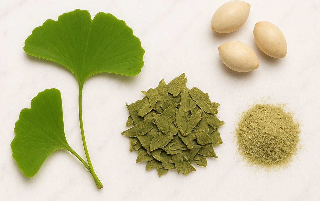 Ginko leaves, seeds and powder