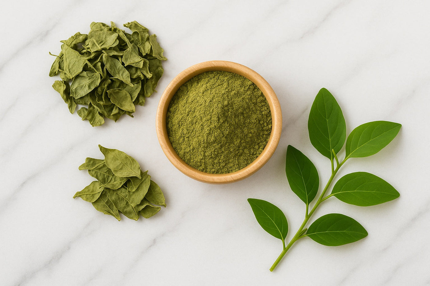 Gymnema on table in fresh and powdered dried form