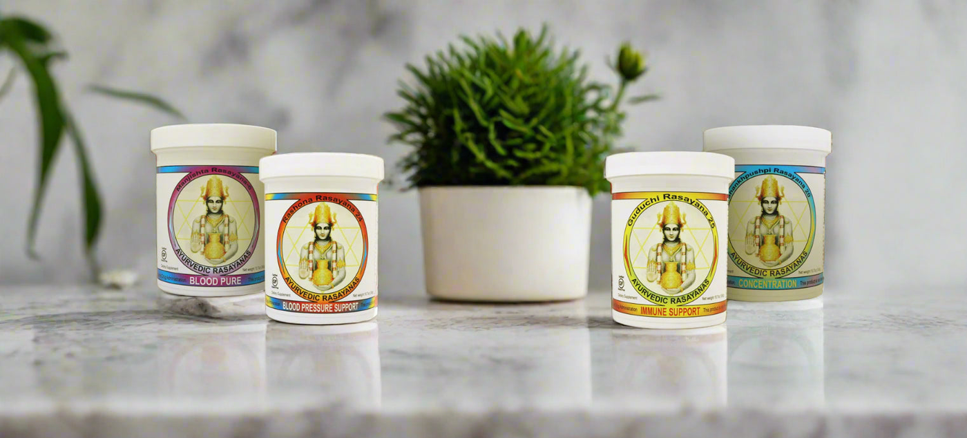 four jars of ayurvedic rasayana medicine on a marblke kitchen counter with a plant