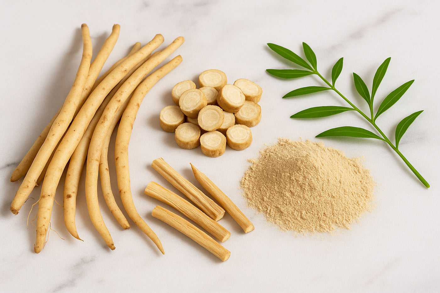 Shatavari root and powder