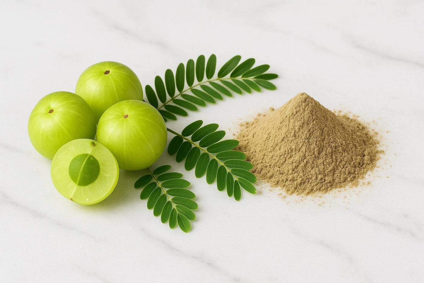 Amalaki fresh berry, leaves, and powder on whit marble