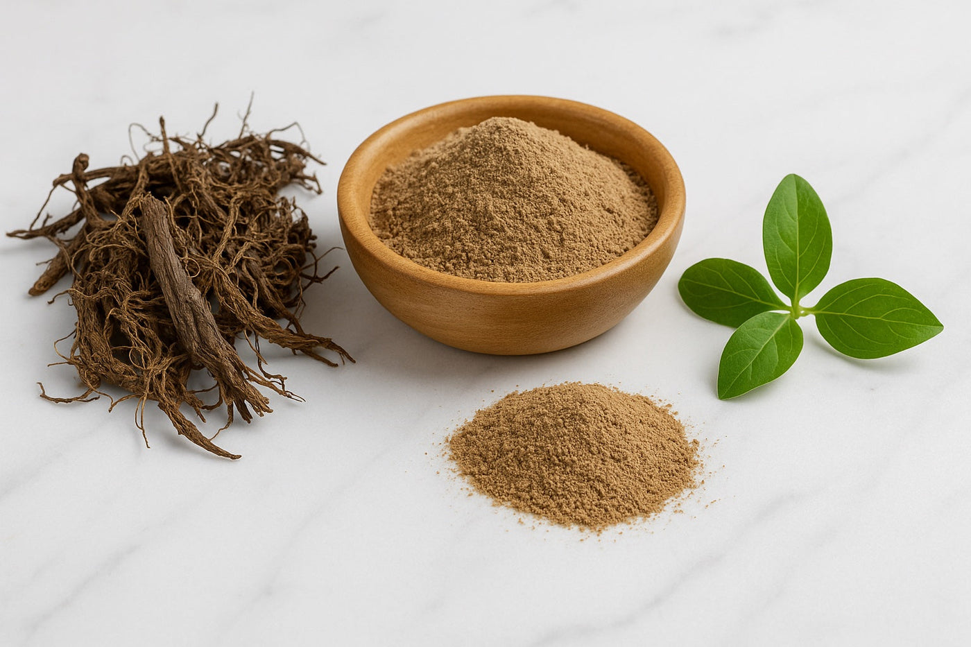 Jatamansi root and fresh leaves on table